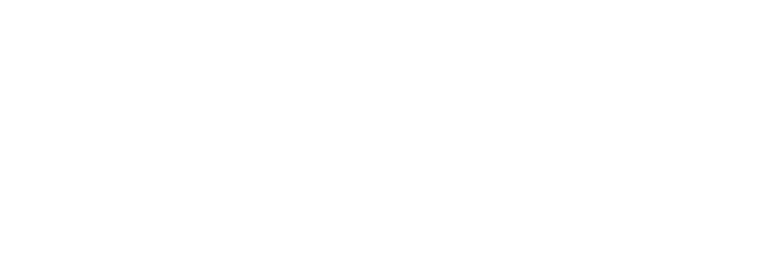 Fremantle Hand Car Wash & Detailing logo